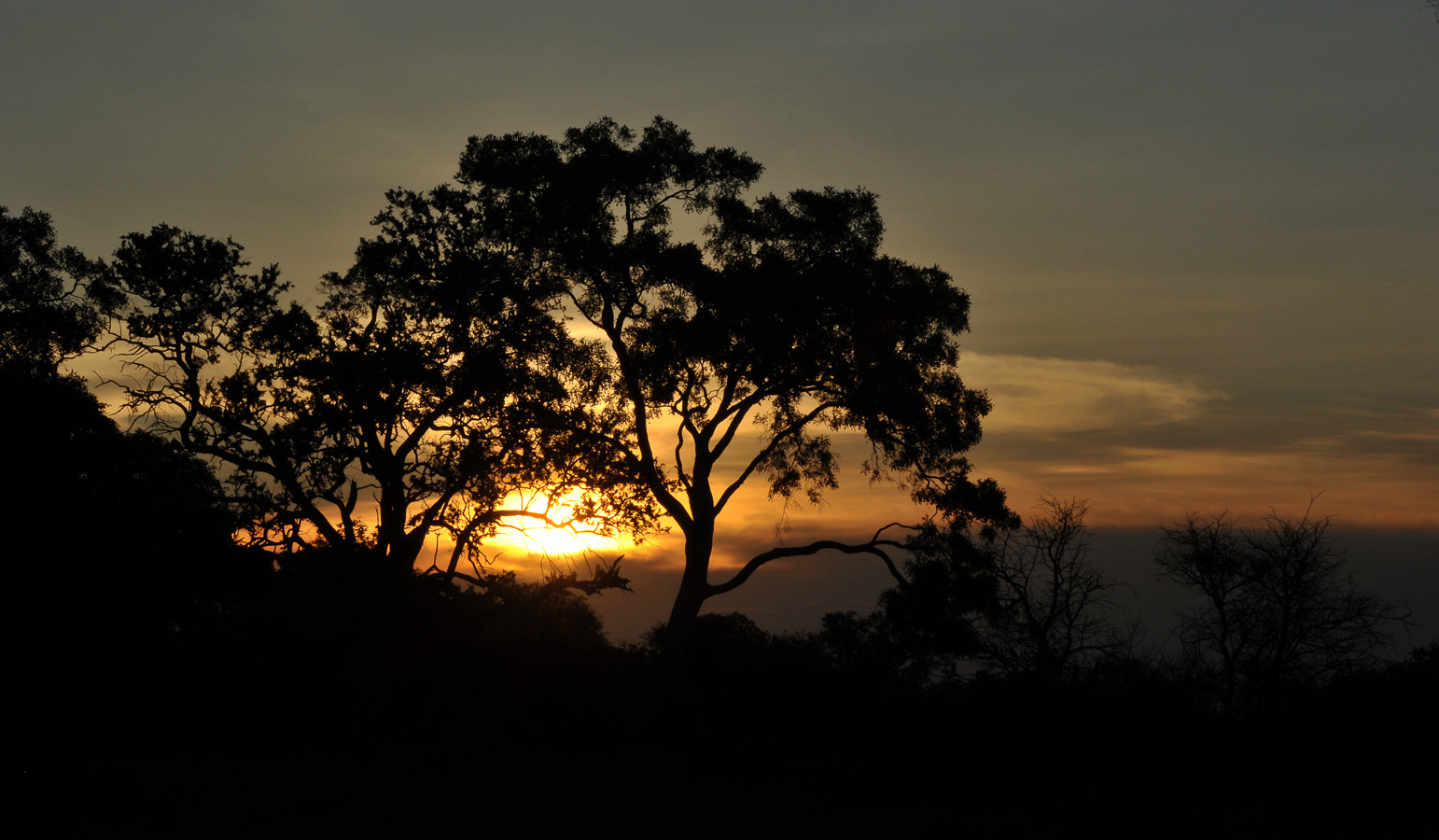 [90 mm, 1/320 sec at f / 32, ISO 800]